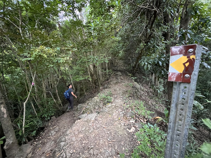 Waianae-Kaala Trail