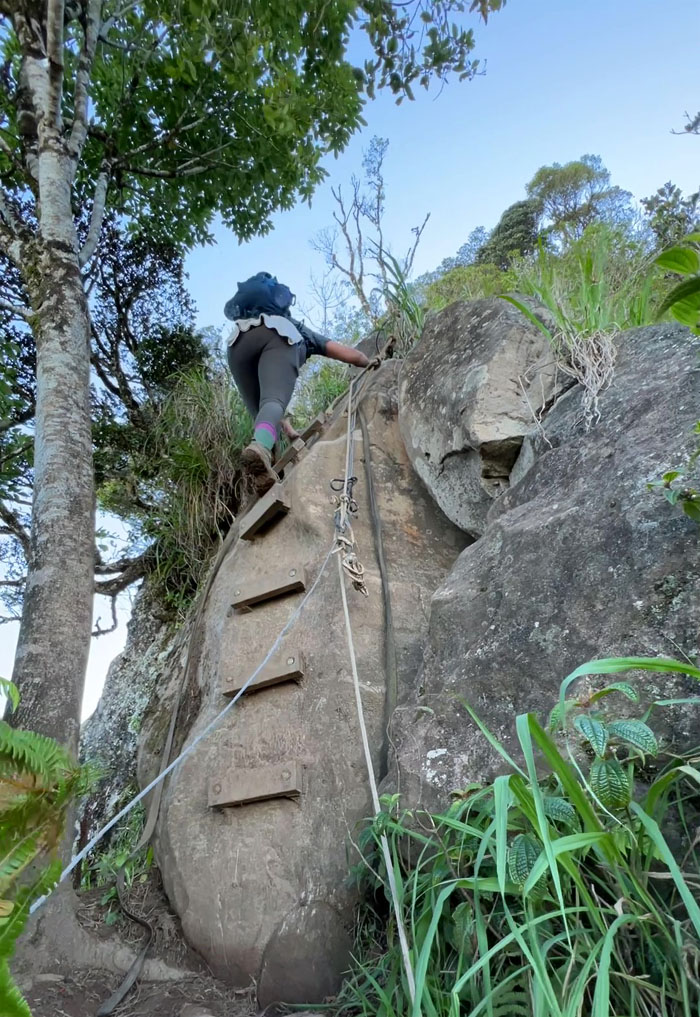 Waianae-Kaala Trail