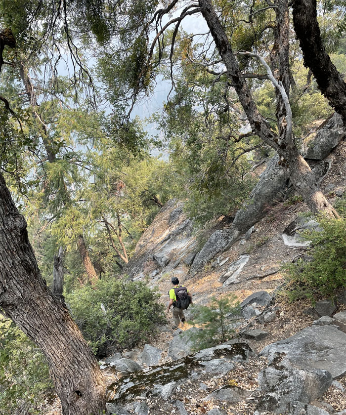 Sierra Point Trail