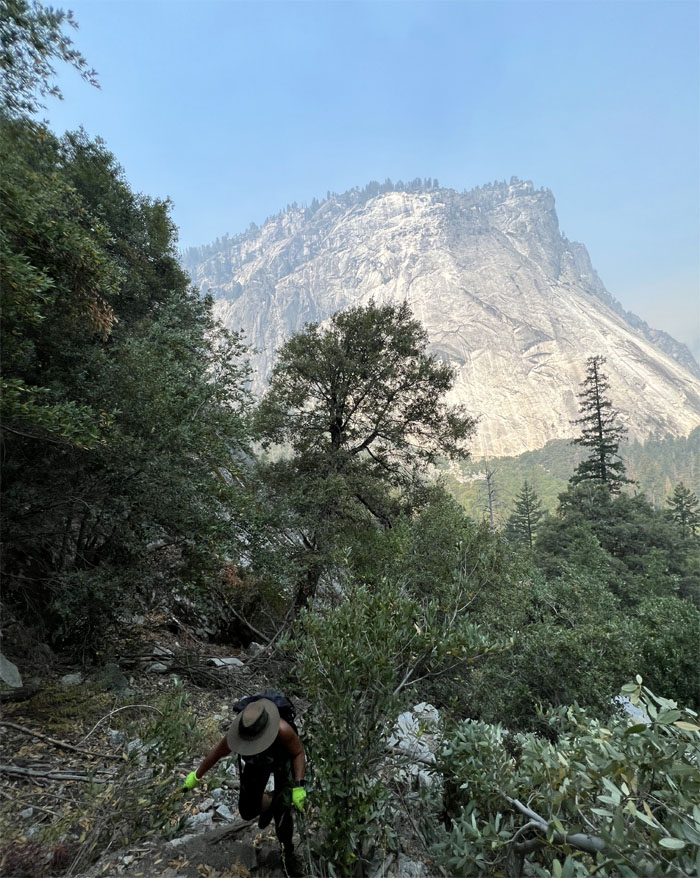 Sierra Point Trail