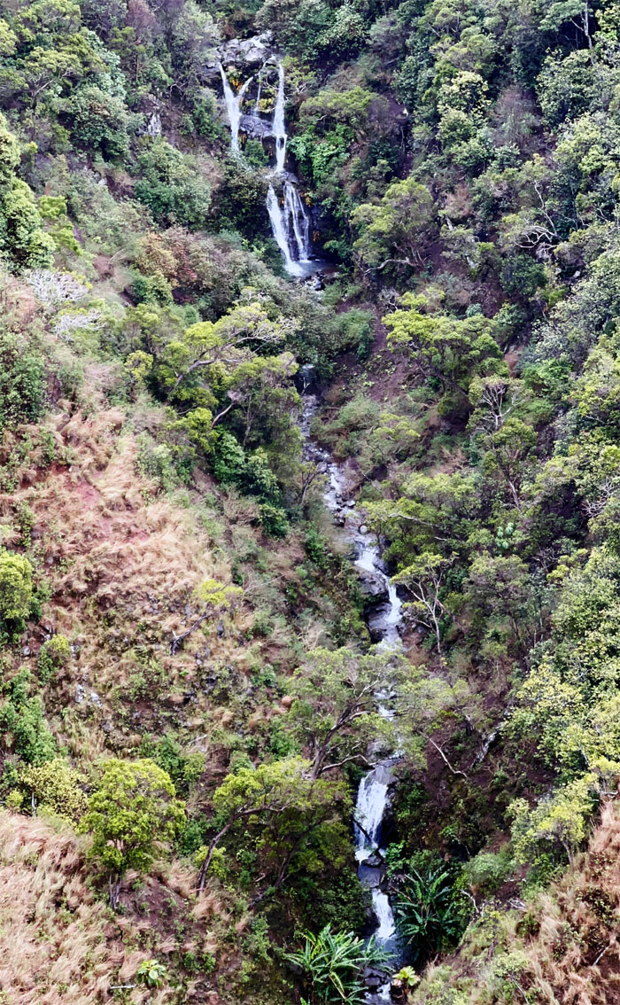 Honopu Ridge Trail