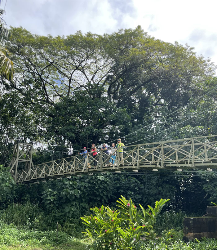 Kapaia Suspension Bridge