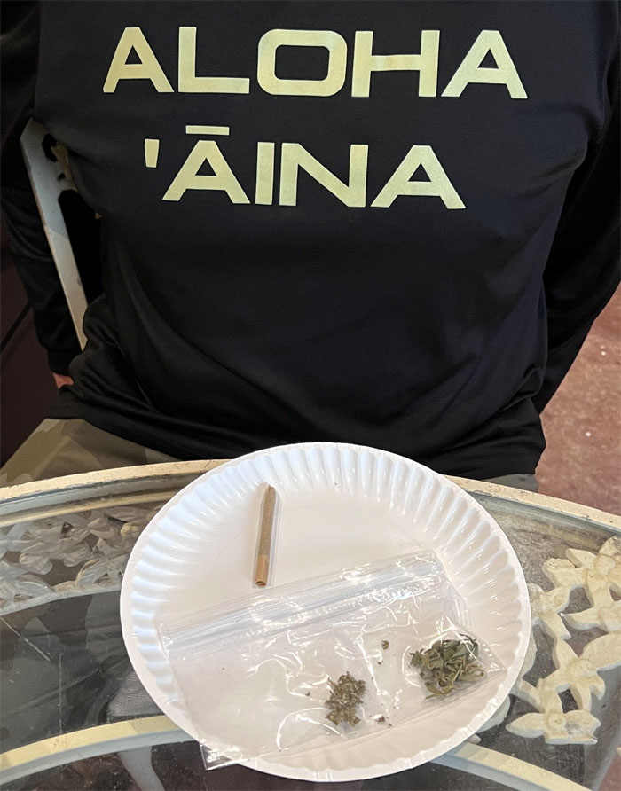 Aloha 'Aina