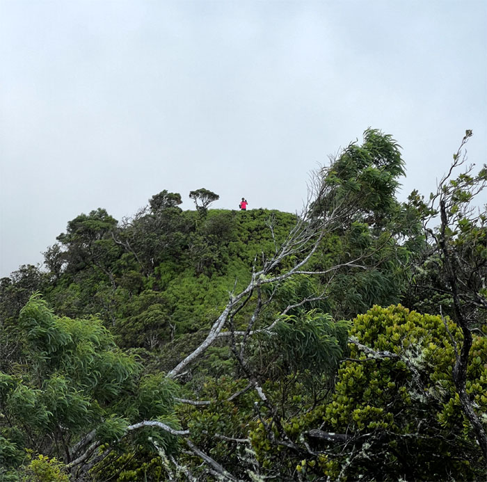 Manana Ridge Trail