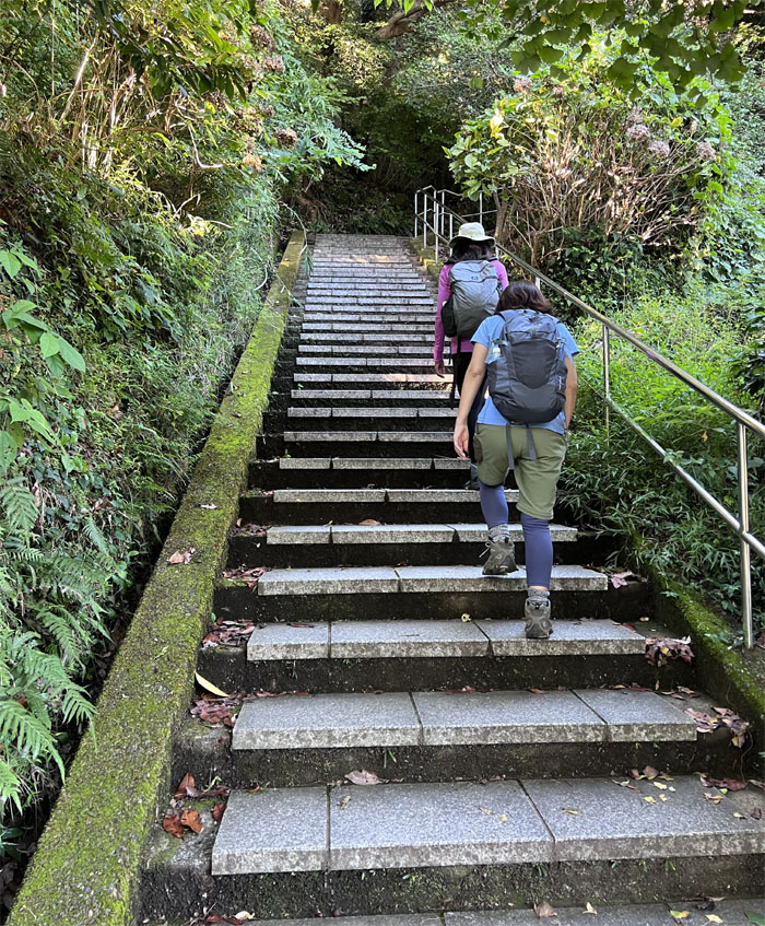 Nokogiriyama Trail