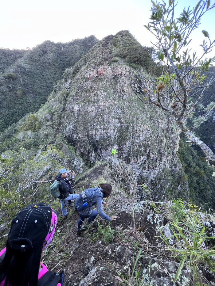 Pu'u Hapapa Trail 