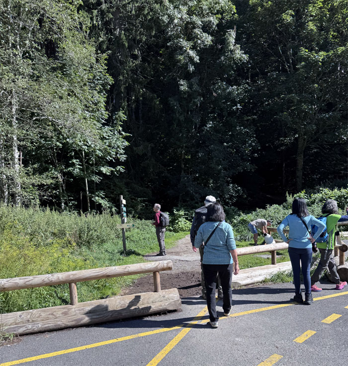 Cascade du Dard Trail