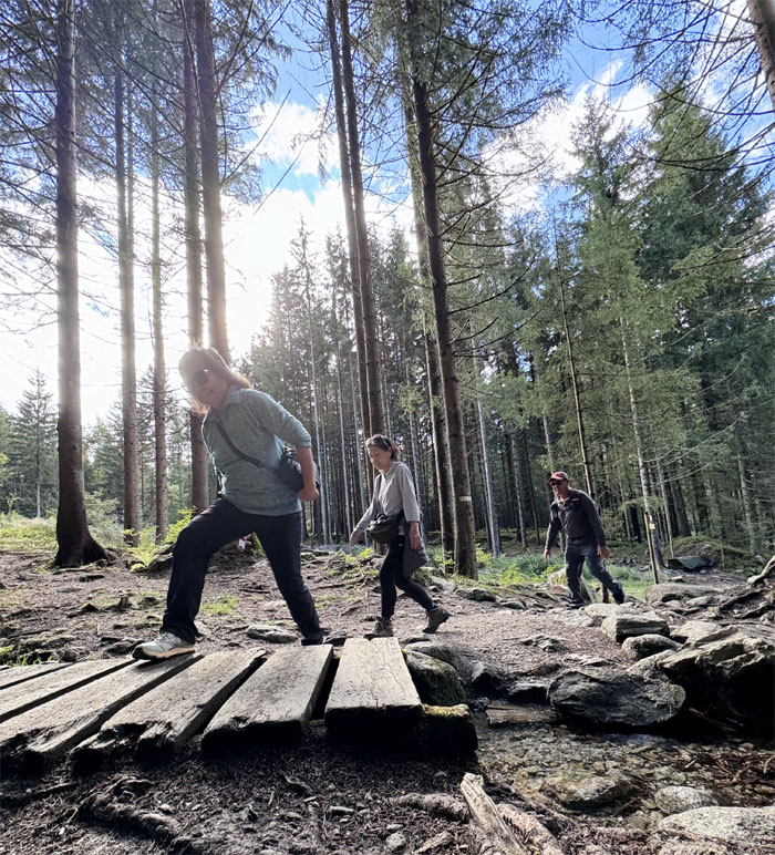 Cascade du Dard Trail