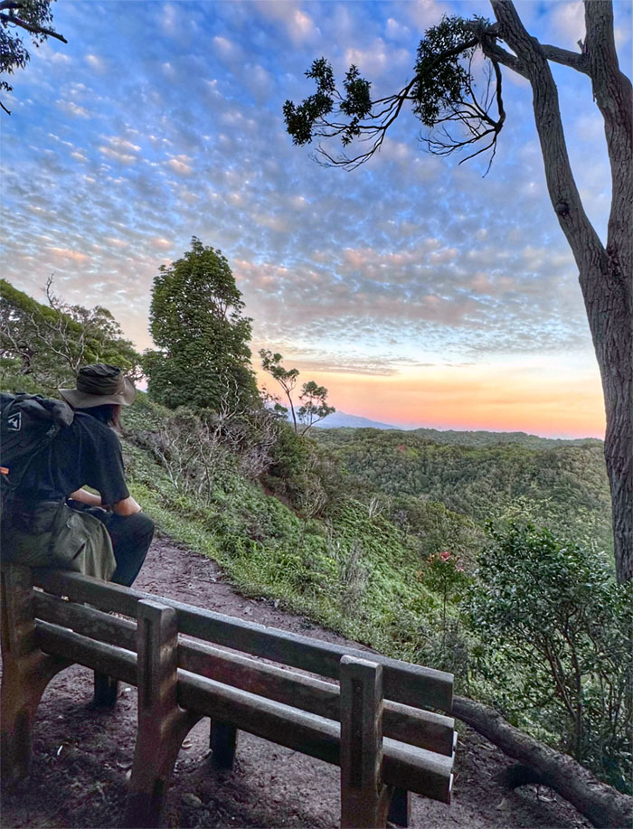 Aiea Loop Trail