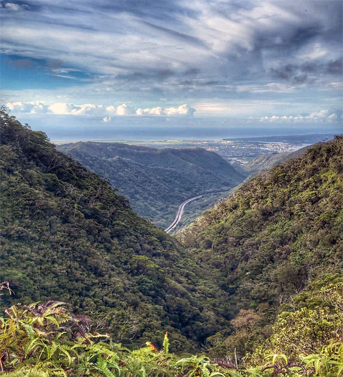 Aiea Ridge Trail