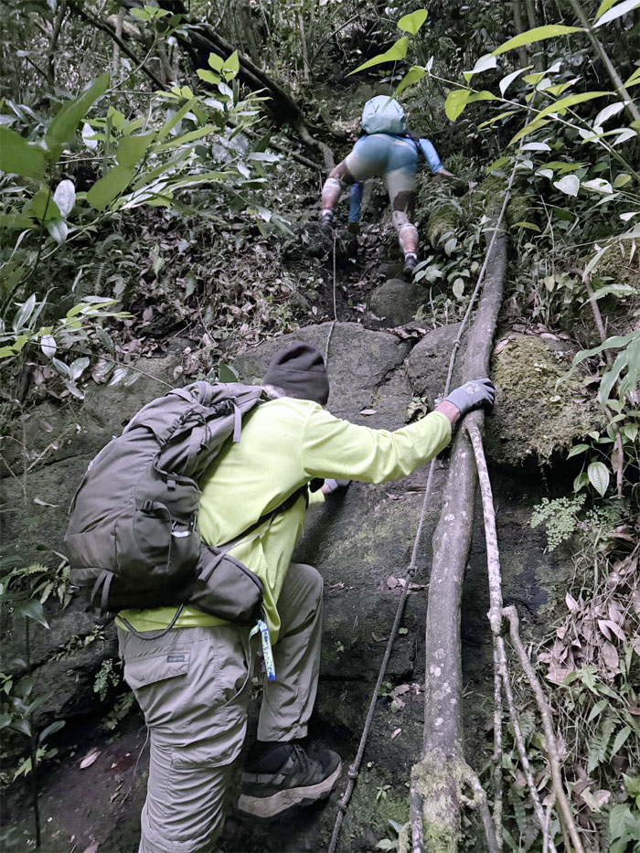 Ko'olau Summit Ridge Trail (KSRT)