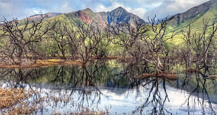 Honoapi'ilani Highway