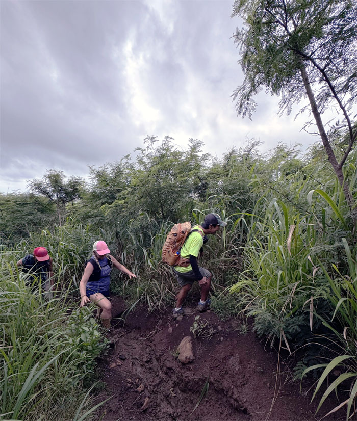 Kalaheo Hills