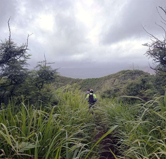 Kalaheo Hills