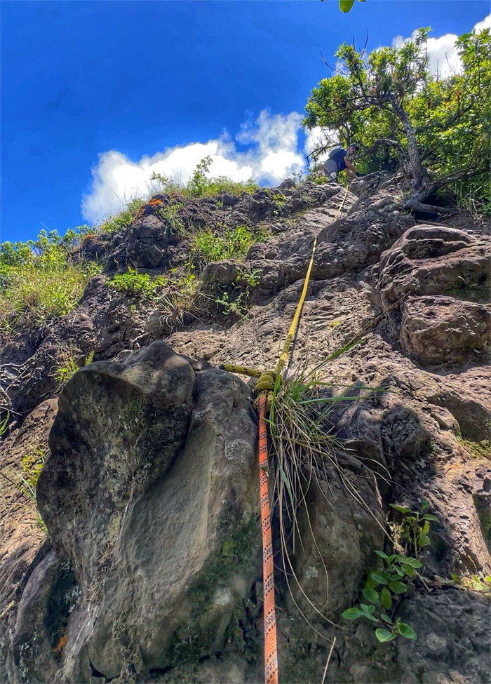 Paku'i