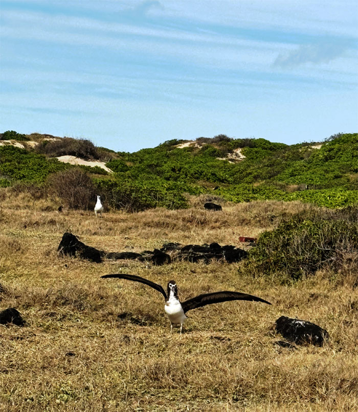 Kaena Point Natural Area Reserve