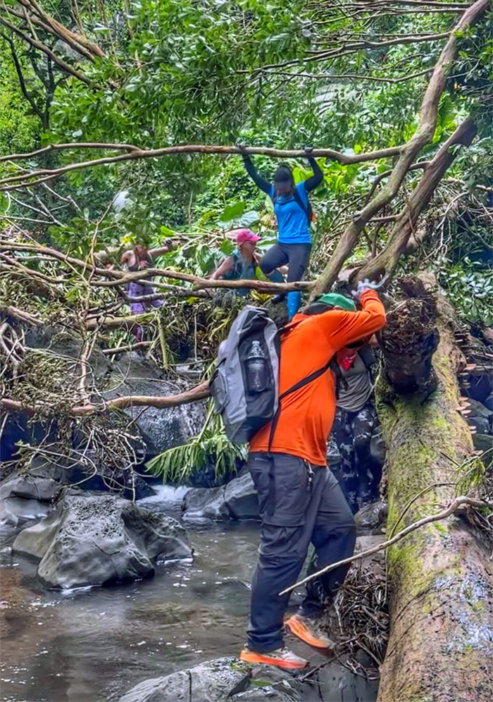 Kalihi Stream