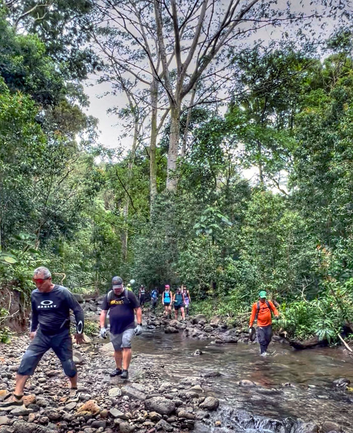 Kalihi Stream