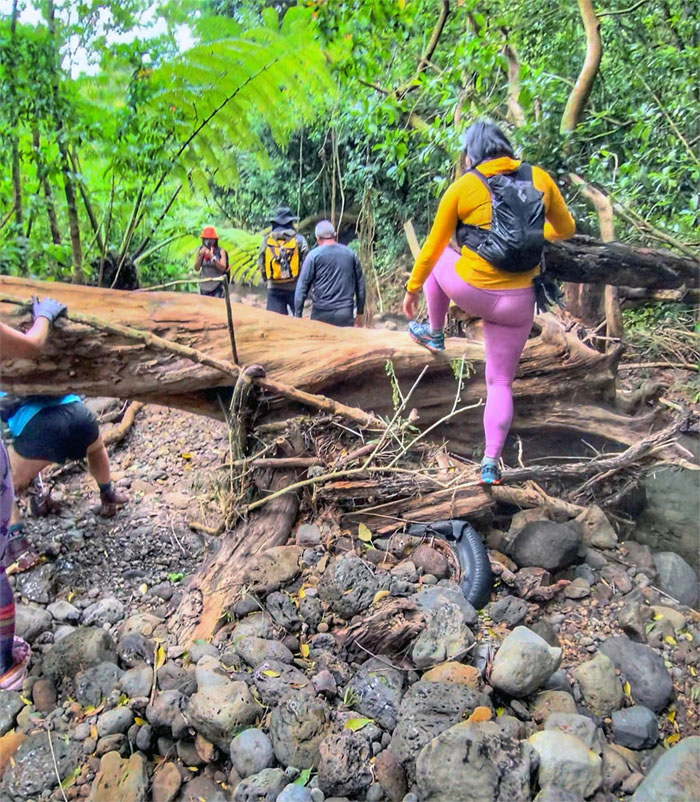 Kalihi Stream