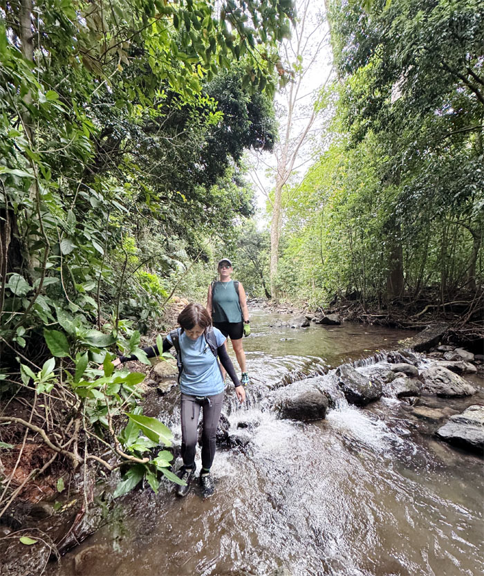 Kalihi Stream