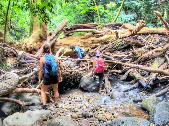 Kalihi Stream