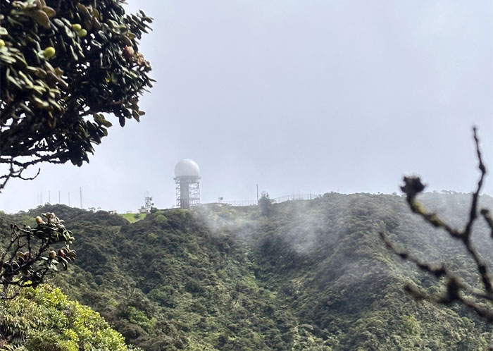 Hiking Ka'ala to Kolekole (Akira's WST Finish)