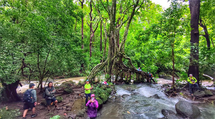 Luakaha Falls (Gangis's Birthday Hike)