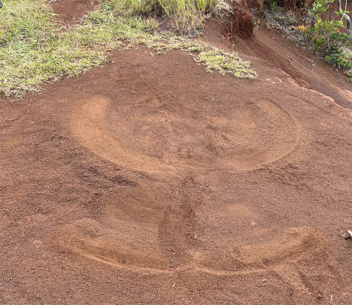 Hiking 'Iliahi Ridge Loop Trail