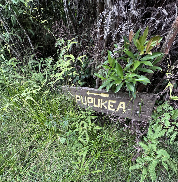 Hiking Laie to Camp Pupukea