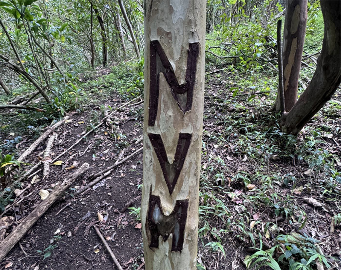 Hiking Lualualei Lookout