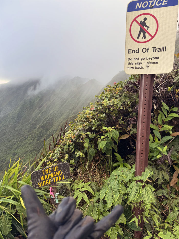 Hiking Manana to Aiea Ridge