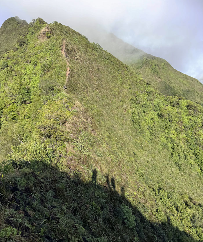Hiking Pali Puka to Nukohe Ridge