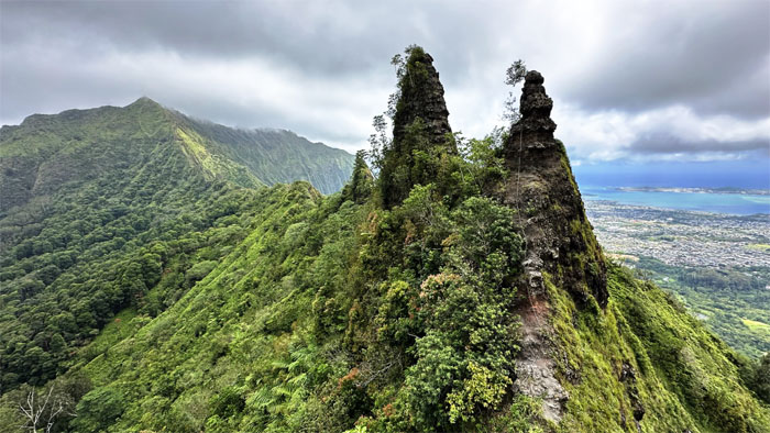 Hiking Pali Puka Lookout to Kalihi Saddle (Powerlines)