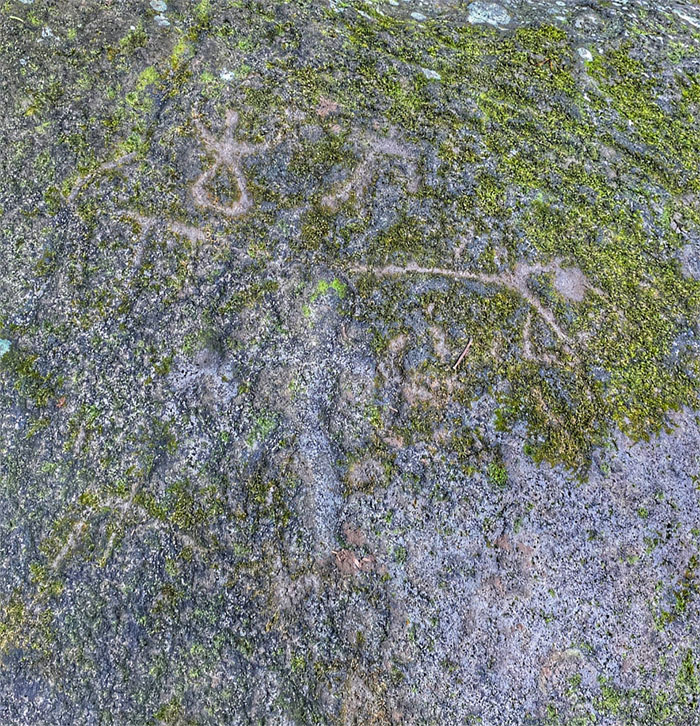 Hiking Moanalua Saddle to Tripler