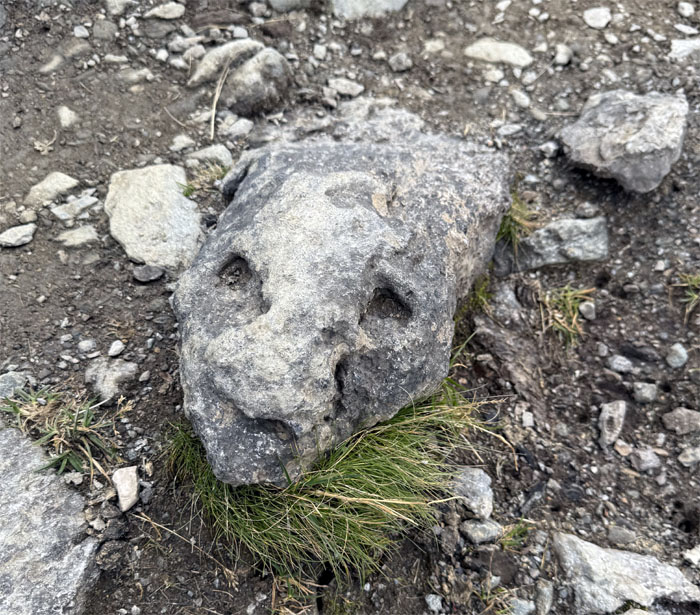 Hiking Tour du Mont Blanc (TMB) Day 2