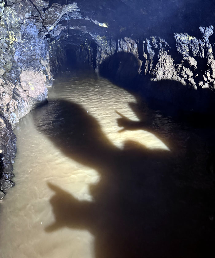 Windward Irrigation Tunnel Scout