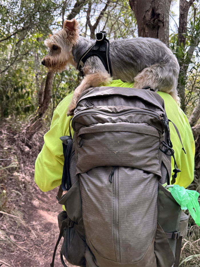 Waimanalo-Maunawili Ramble