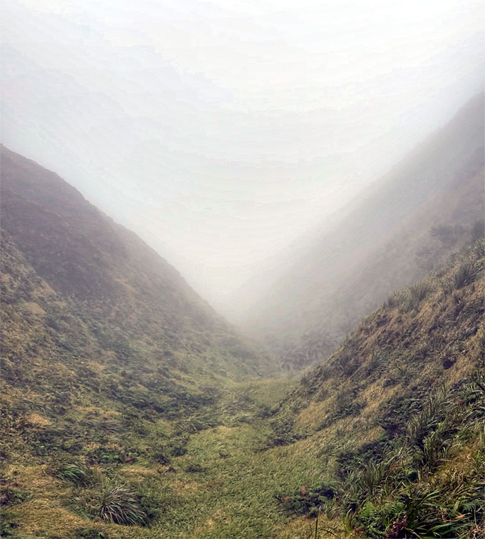 Hiking Wiliwilinui to Mount Olympus (Awa'awaloa)