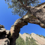 Thumbnail image for Flatirons and Royal Arch